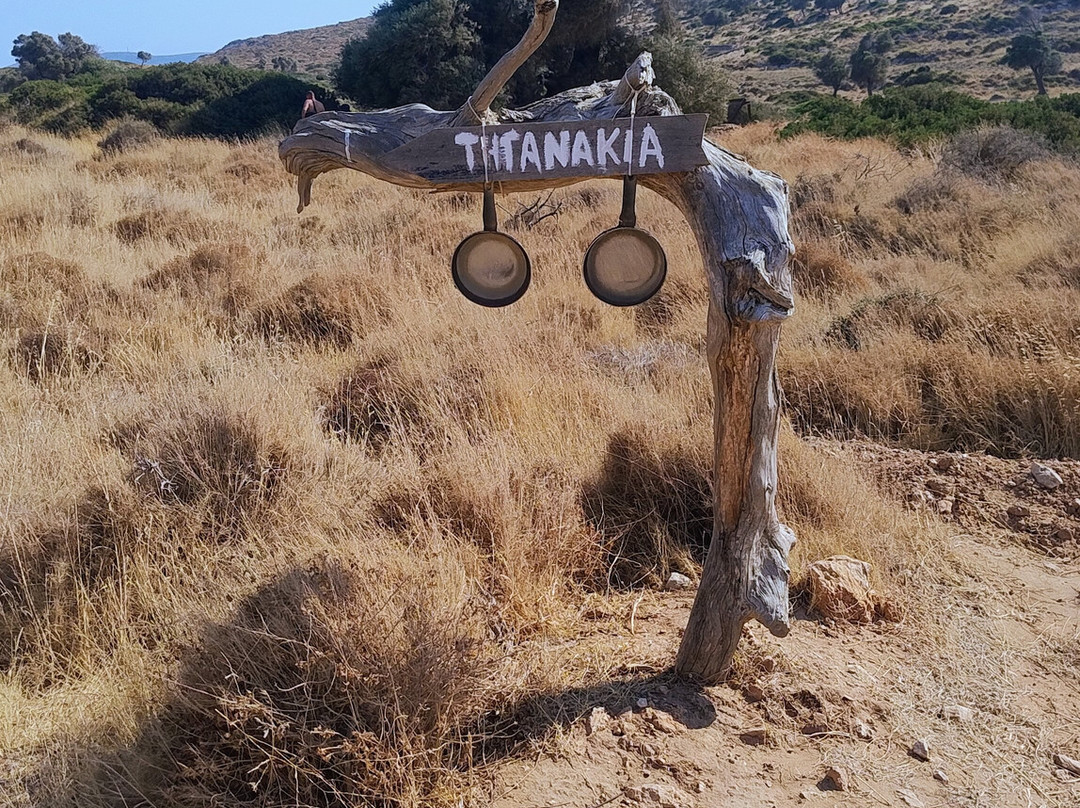 Tiganakia Beach-Arkoi必去景点