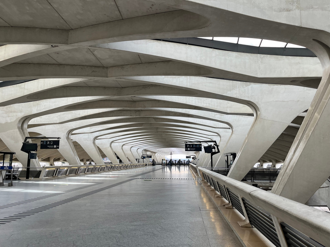 Lyon Saint-Exupery TGV