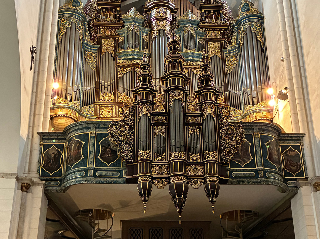 Riga Cathedral-里加必去景点