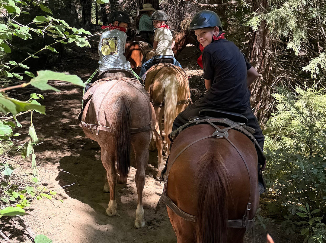 Yosemite Trails Horseback Adventures-菲什营必去景点