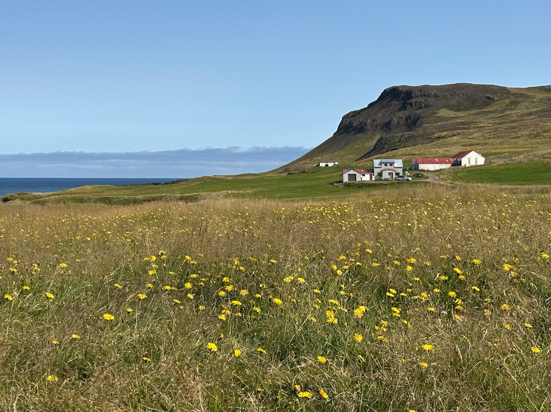 Borgarfjaroarhofn-Borgarfjordur Eystri必去景点