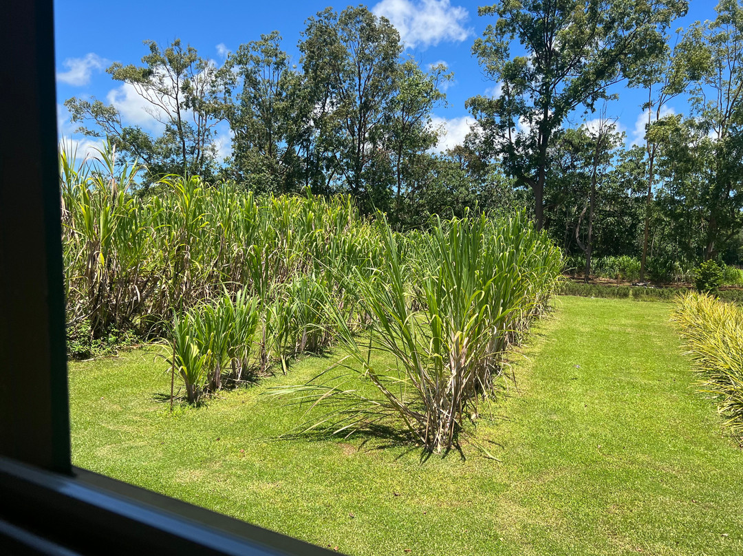 Kauai Plantation Railway-利胡埃必去景点