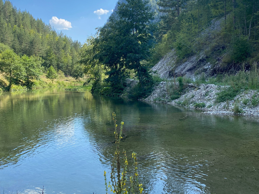 Nature Park Mokra Gora-Mokra Gora必去景点