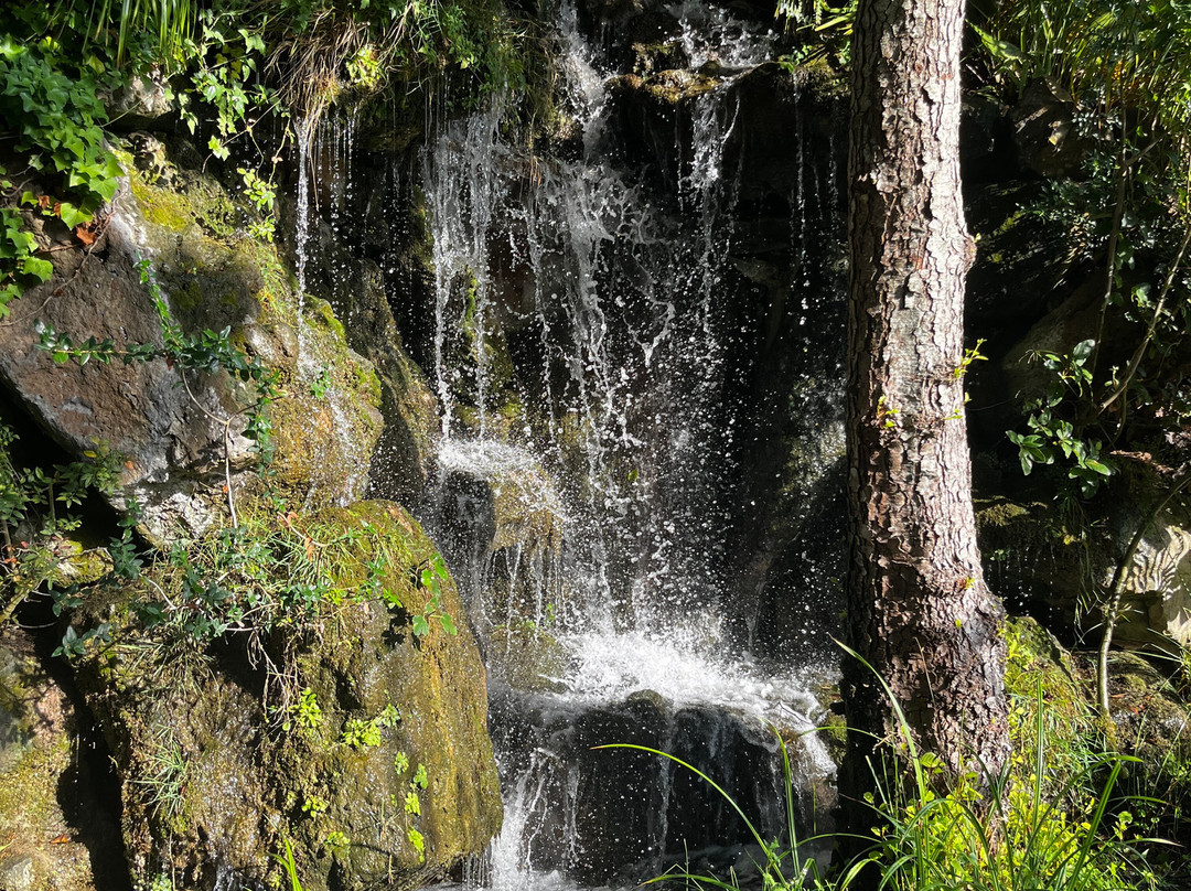 Parco Museo S'Abba Frisca-Dorgali必去景点