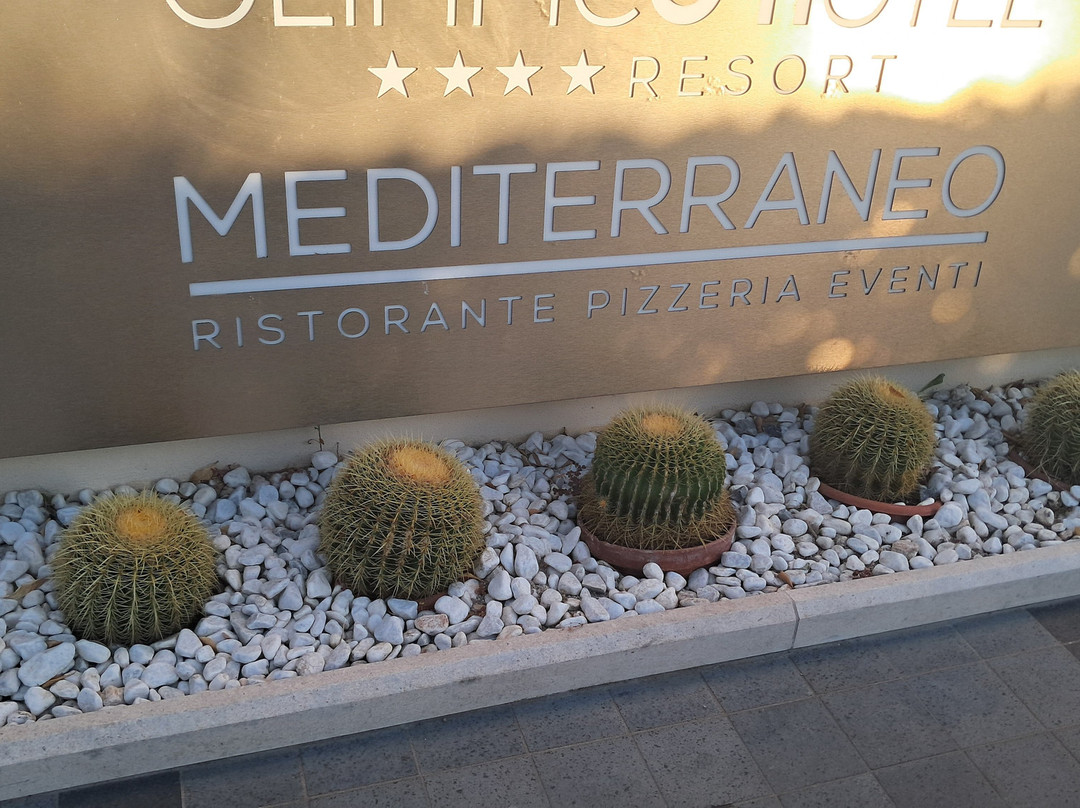 奥林匹科酒店主图