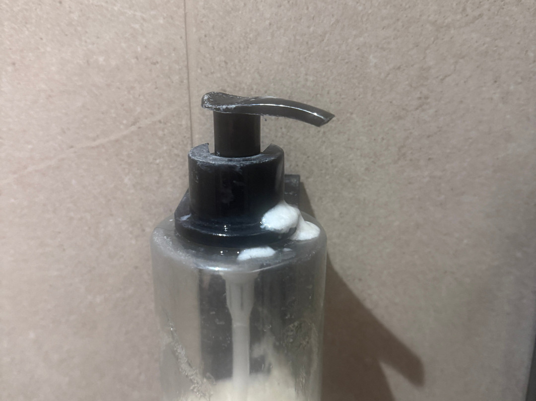 帕拉斯酒店主图