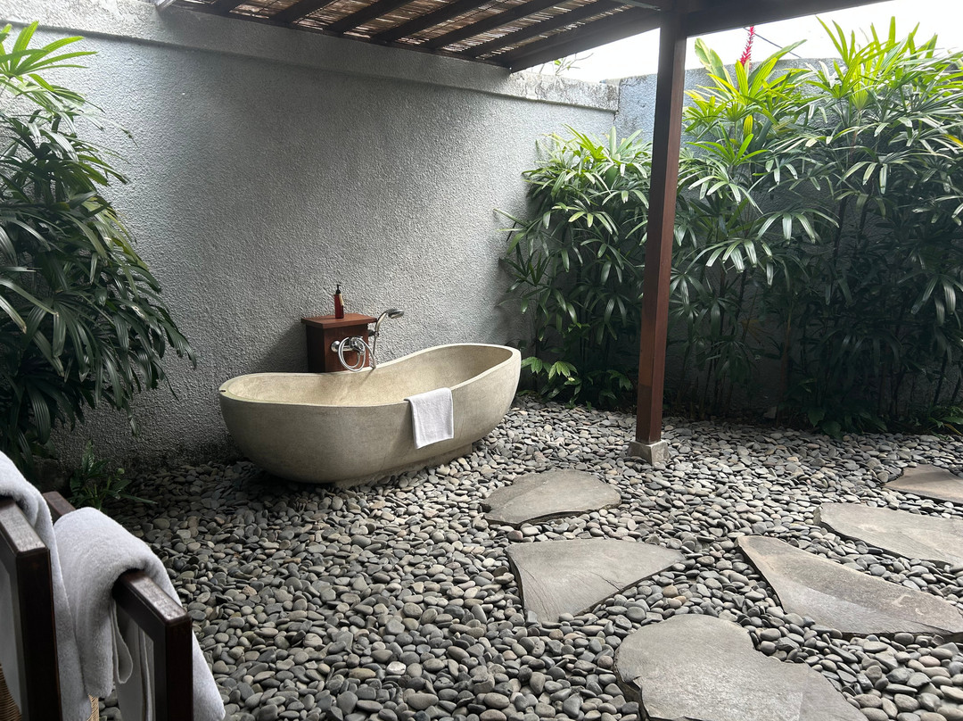乌布艾莉亚别墅酒店主图