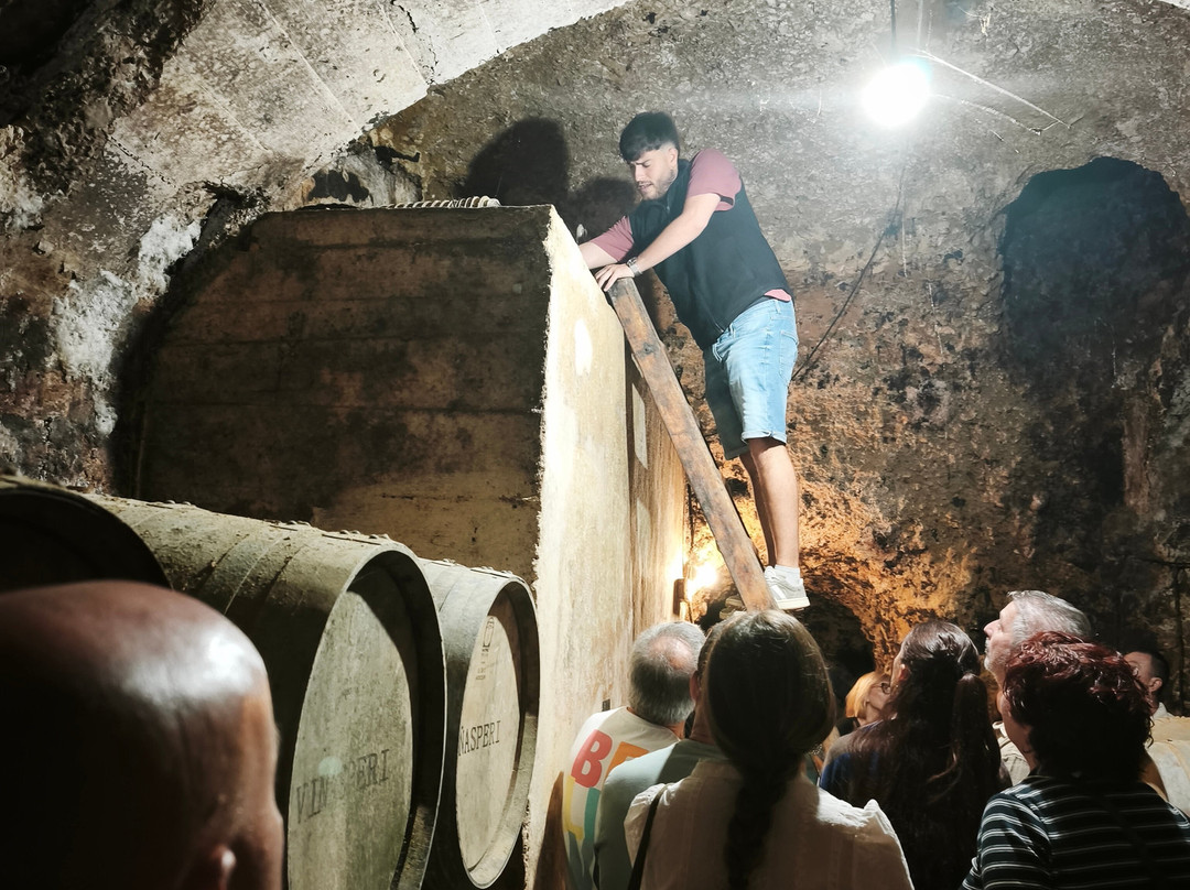 Bodegas Carlos San Pedro Perez de Vinaspre-拉瓜迪亚必去景点