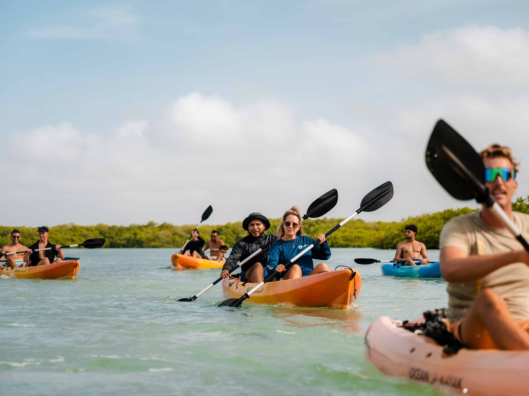 Outdoor Bonaire-Kralendijk必去景点