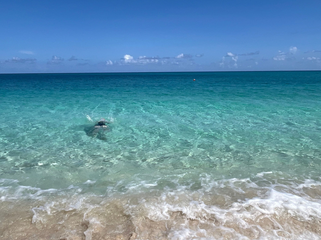 Sivananda Ashram Yoga Retreat Bahamas主图