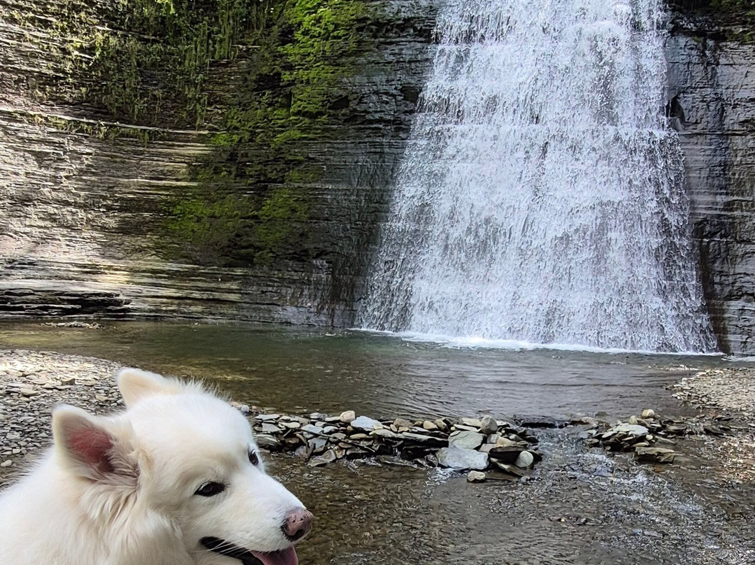 Stony Brook State Park-Dansville必去景点