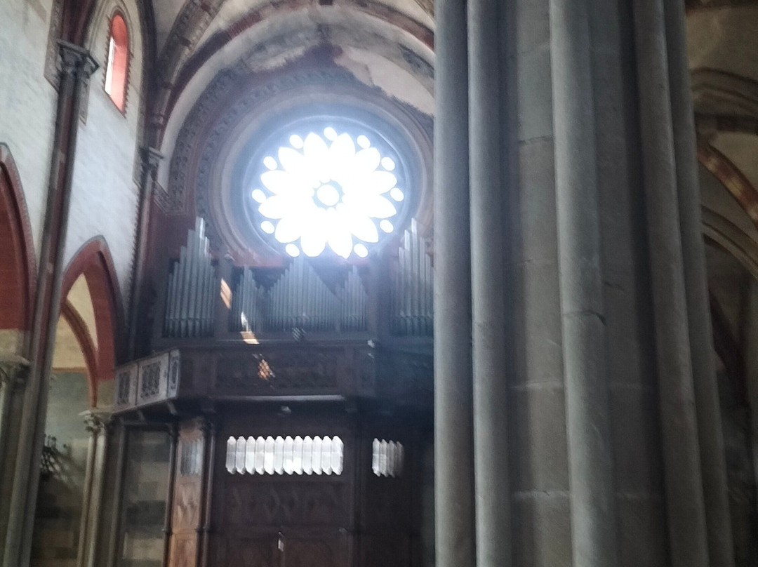 Basilica di Sant'Andrea-韦尔切利必去景点