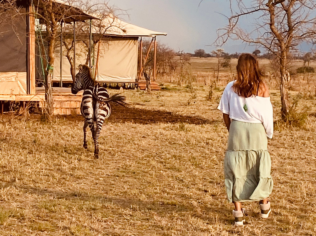 Glimpse of Africa Tented Camp-Ikoma必去景点