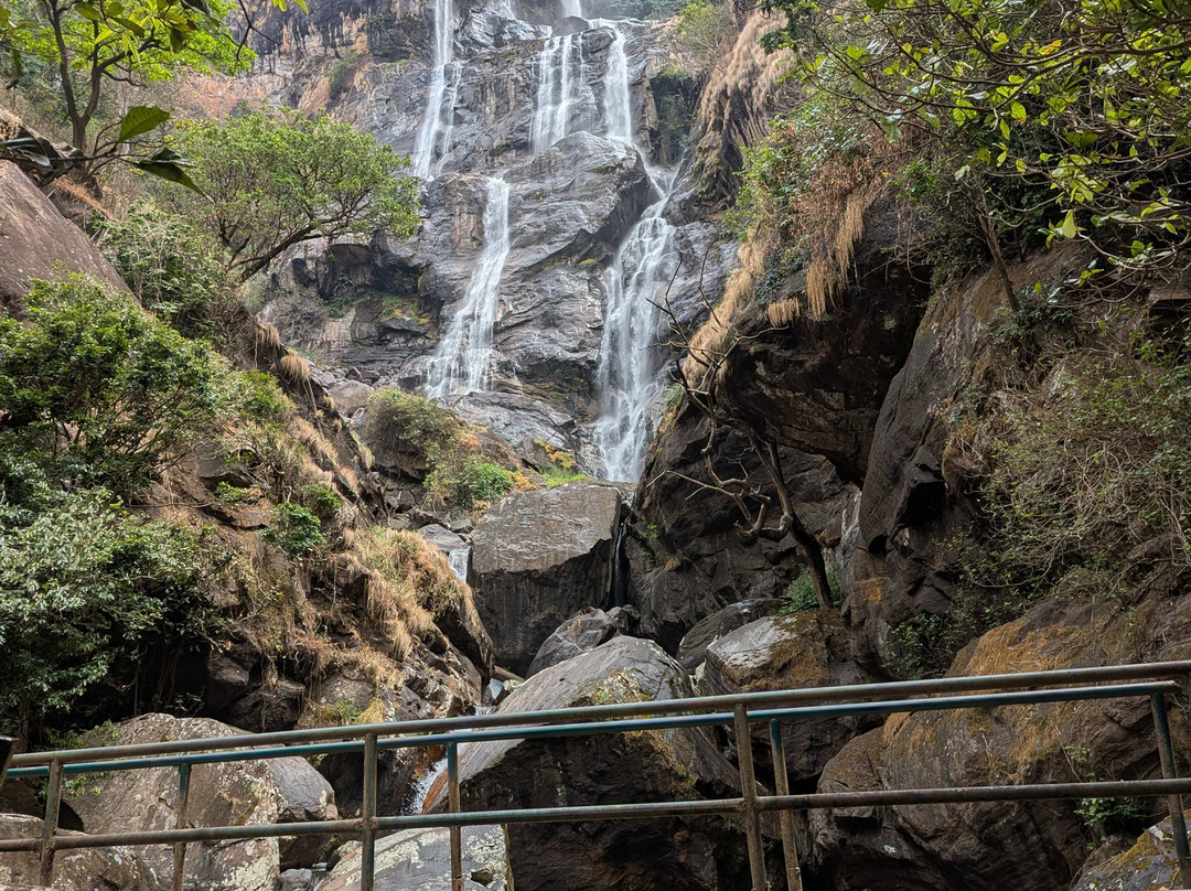 KURUMBIZI TOURS & SAFARIS-莫洛哥罗必去景点