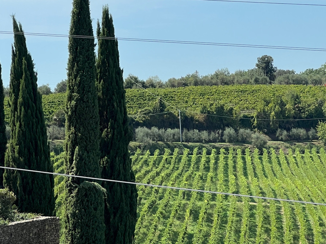 Tuscany for Cruise-里窝那必去景点