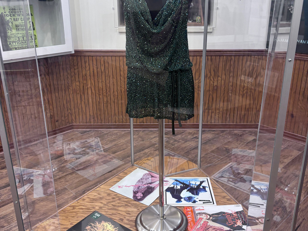 Tina Turner Museum  @ Flagg Grove School-Brownsville必去景点