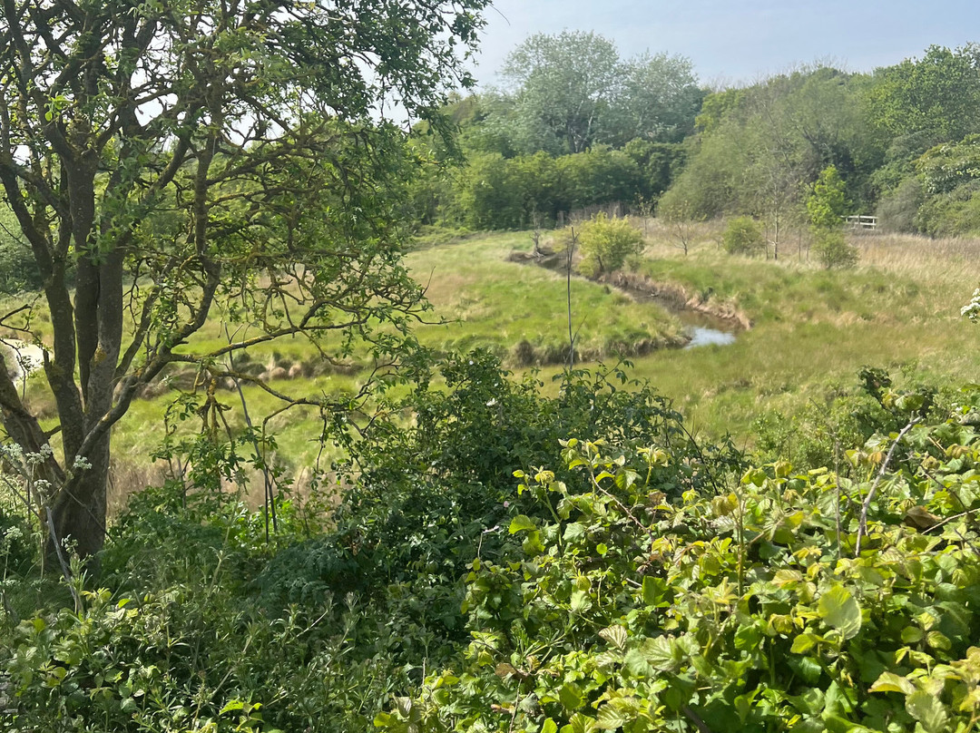 Riverside Country Park-吉林汉姆必去景点