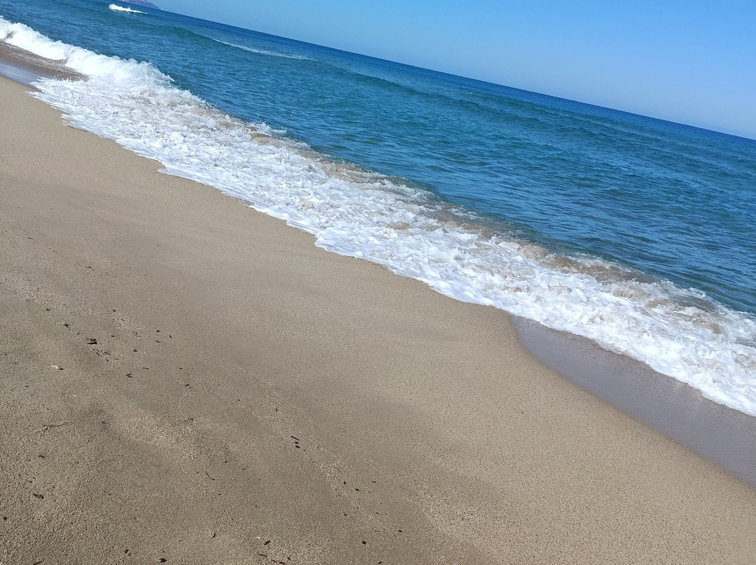 Spiaggia Li Junchi - Badesi-Badesi必去景点