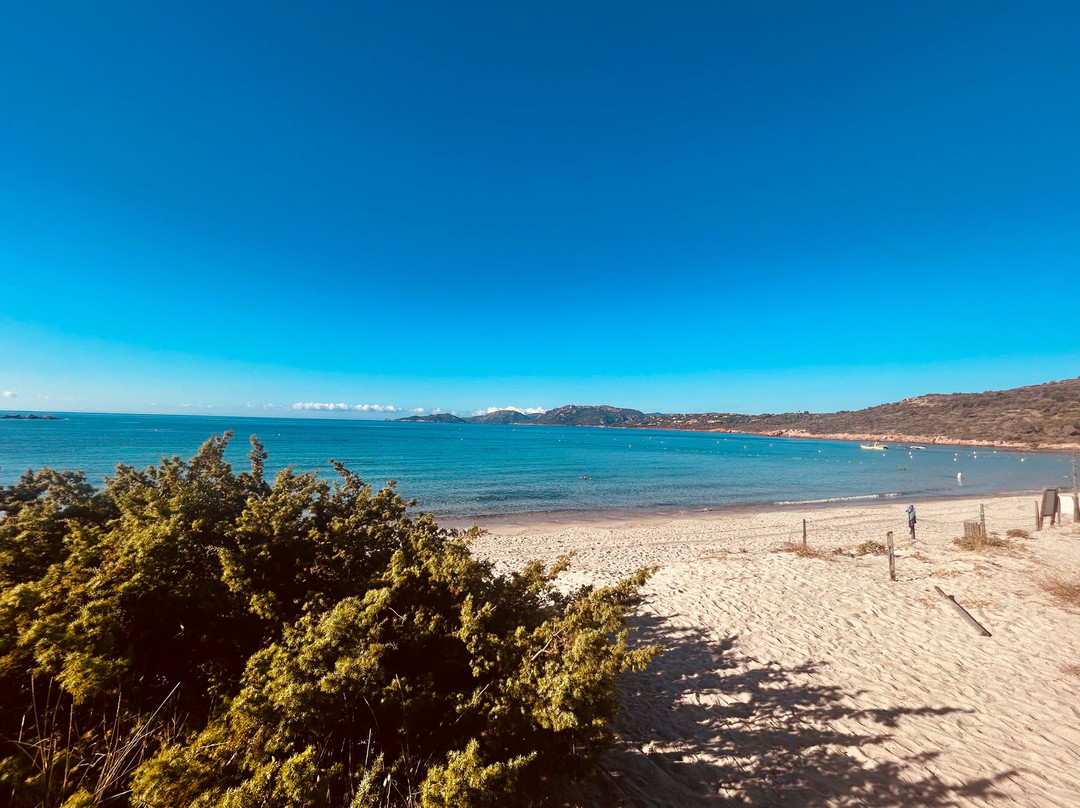 Plage d'Acciaju-维琪奥港必去景点
