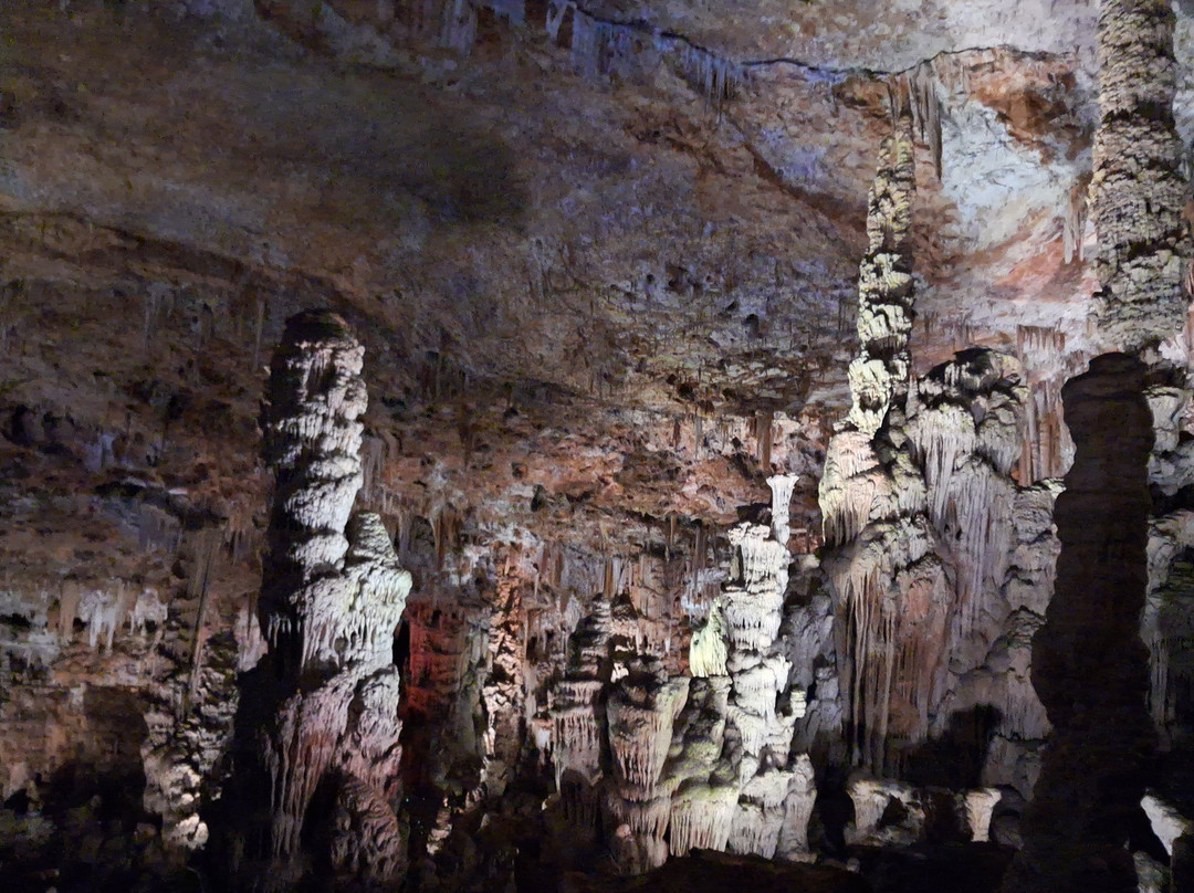 Grotte de la Salamandre-Mejannes-le-Clap必去景点