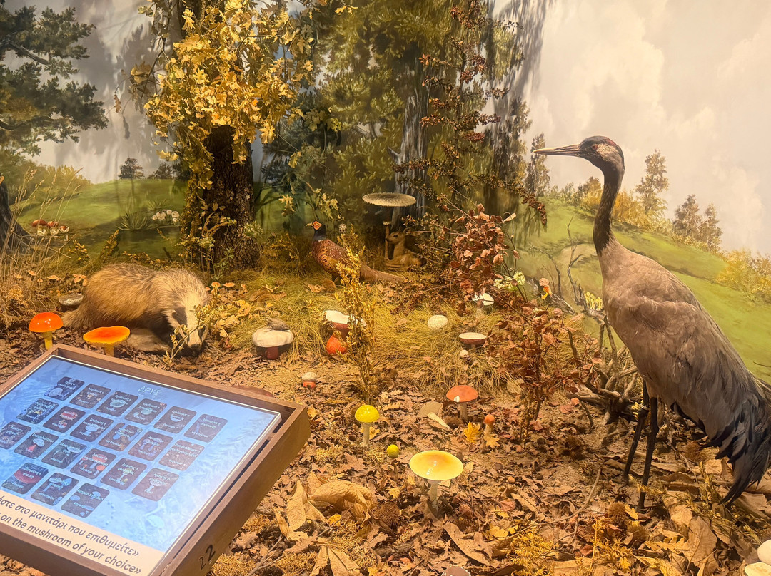 Natural History Museum of Meteora & Mushroom Museum-卡兰巴卡必去景点