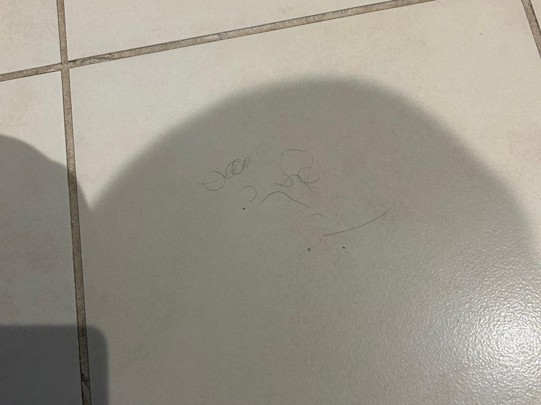 埃尔顿厅酒店主图
