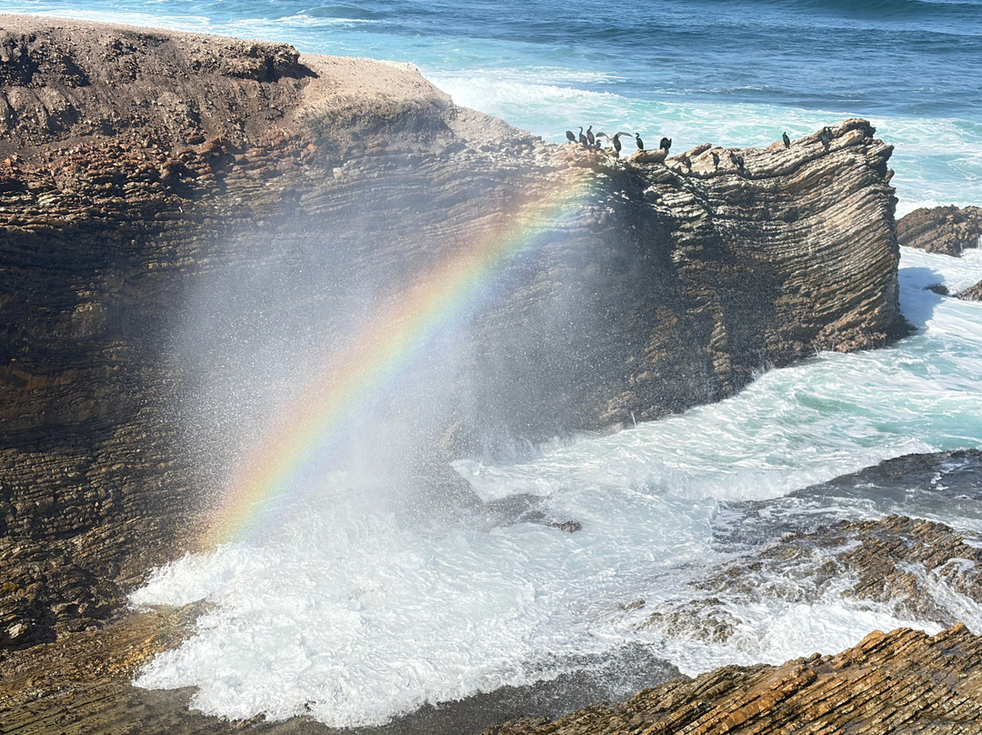 Montana de Oro State Park-Los Osos必去景点