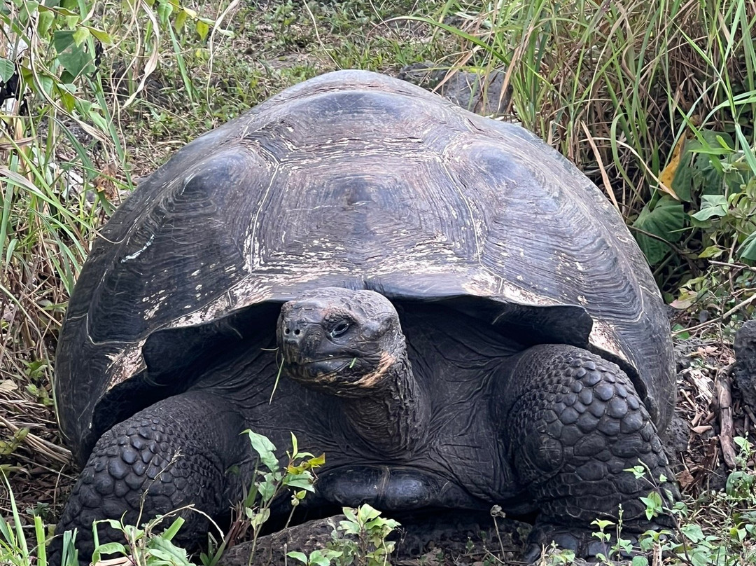 Reserva Galápagos Frontier-圣克鲁斯必去景点
