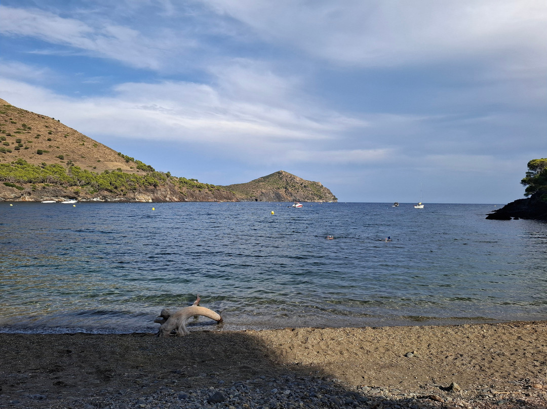 Cala Montjoi-罗塞斯必去景点