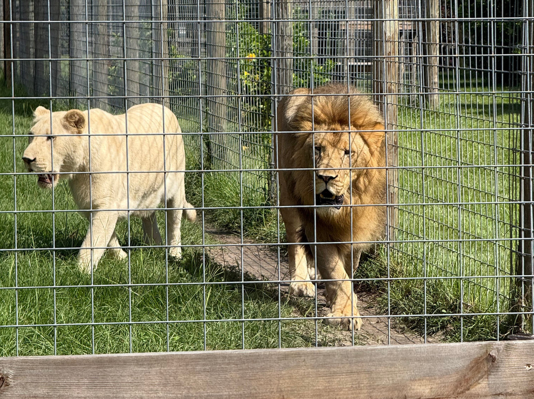 Carson Springs Wildlife Conservation Foundation-盖恩斯维尔必去景点