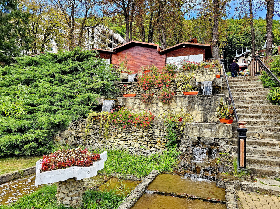 Parcul din Slanic Moldova-Slanic Moldova必去景点