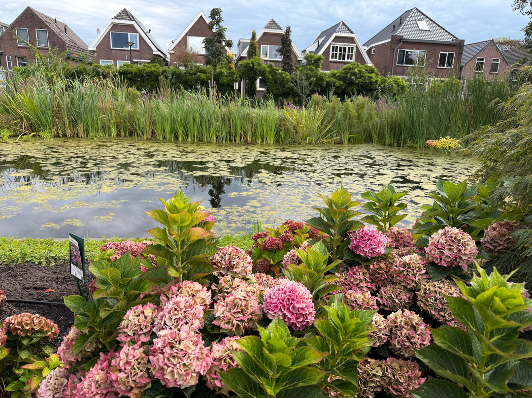 Holland Bike Tours-哈勒姆必去景点