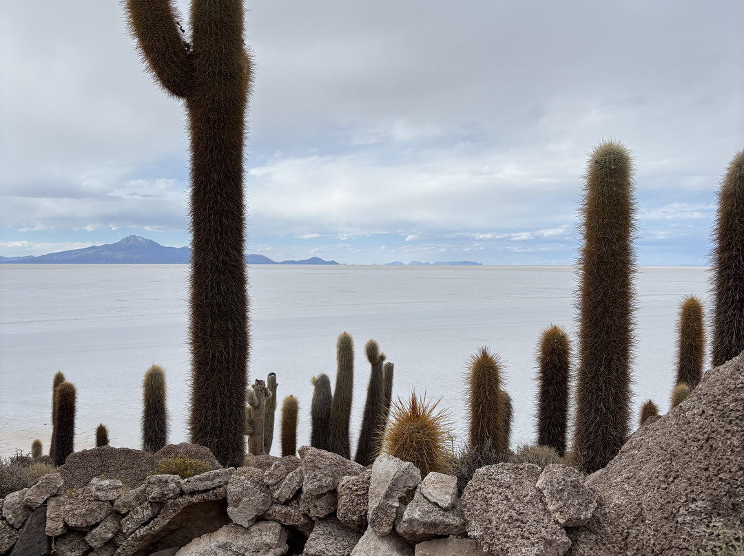 Uyuni Expeditions-乌尤尼必去景点