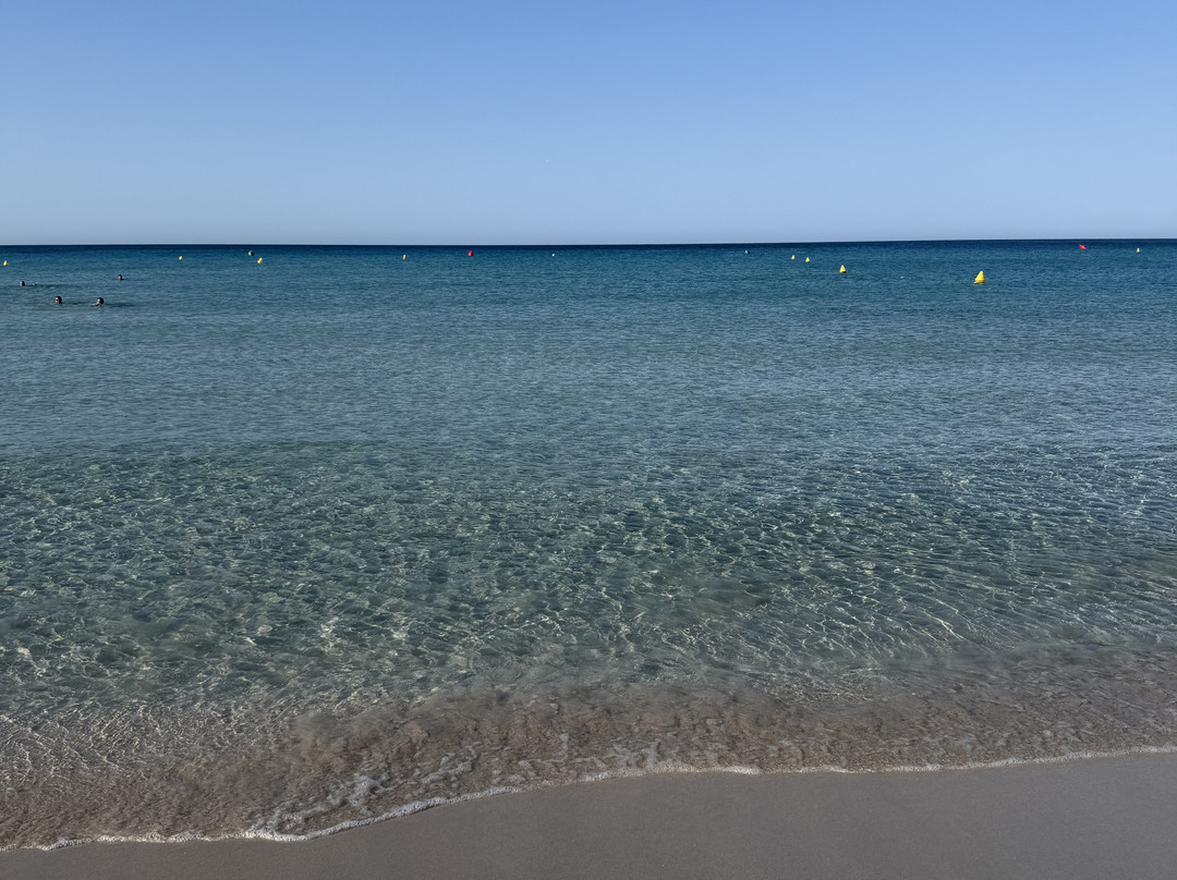 Playa de Son Bou-阿拉约尔必去景点
