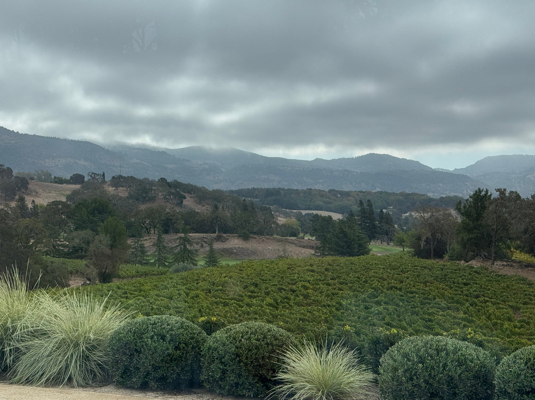 Shadybrook Estate Winery-纳帕必去景点