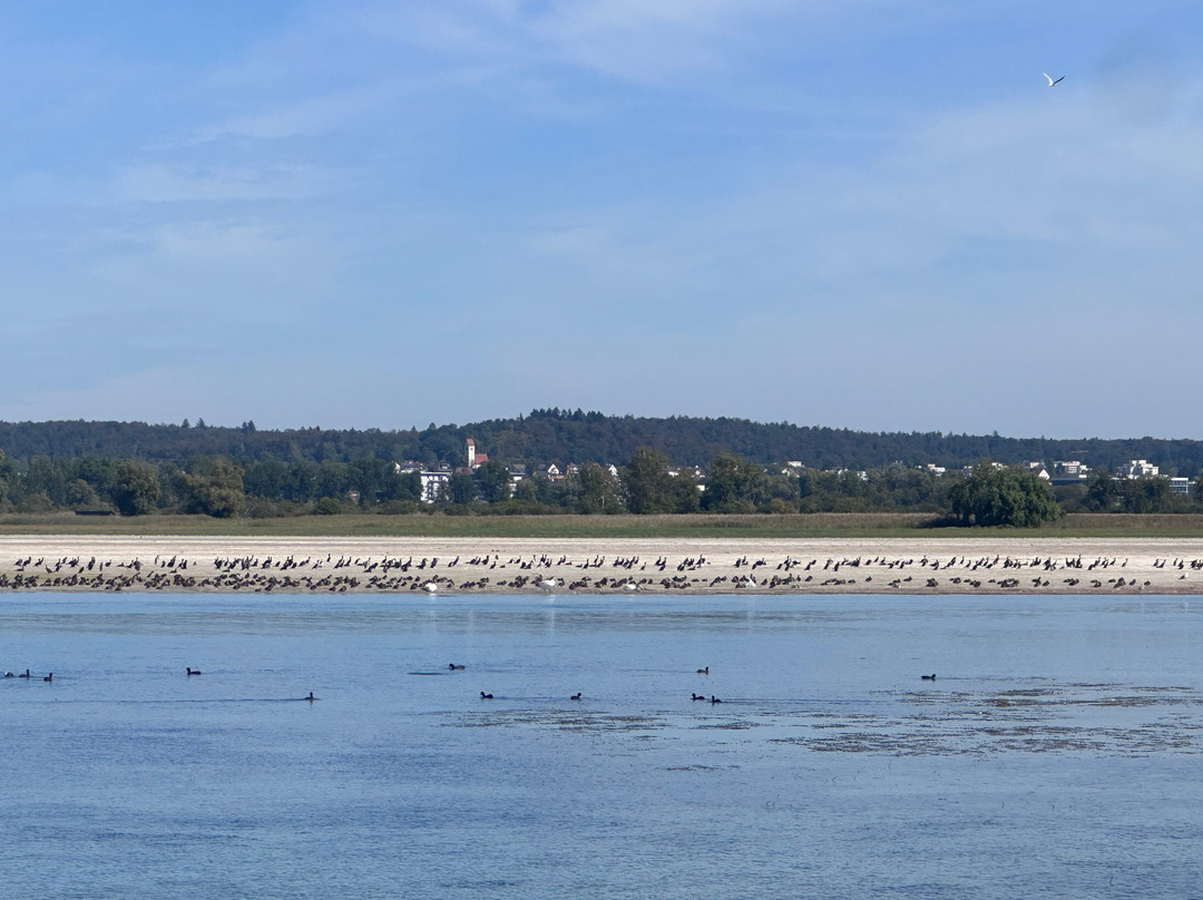 Schifffahrtsgesellschaft Untersee und Rhein-沙夫豪森必去景点