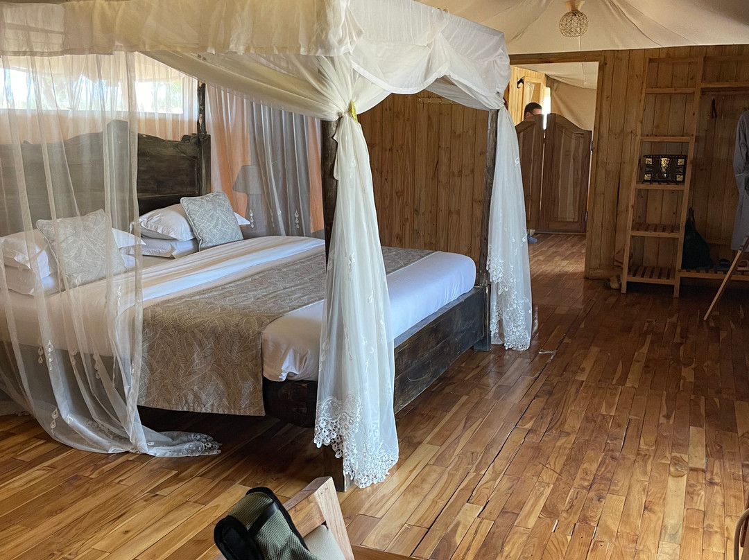 Malaika Seronera Luxury Camp主图