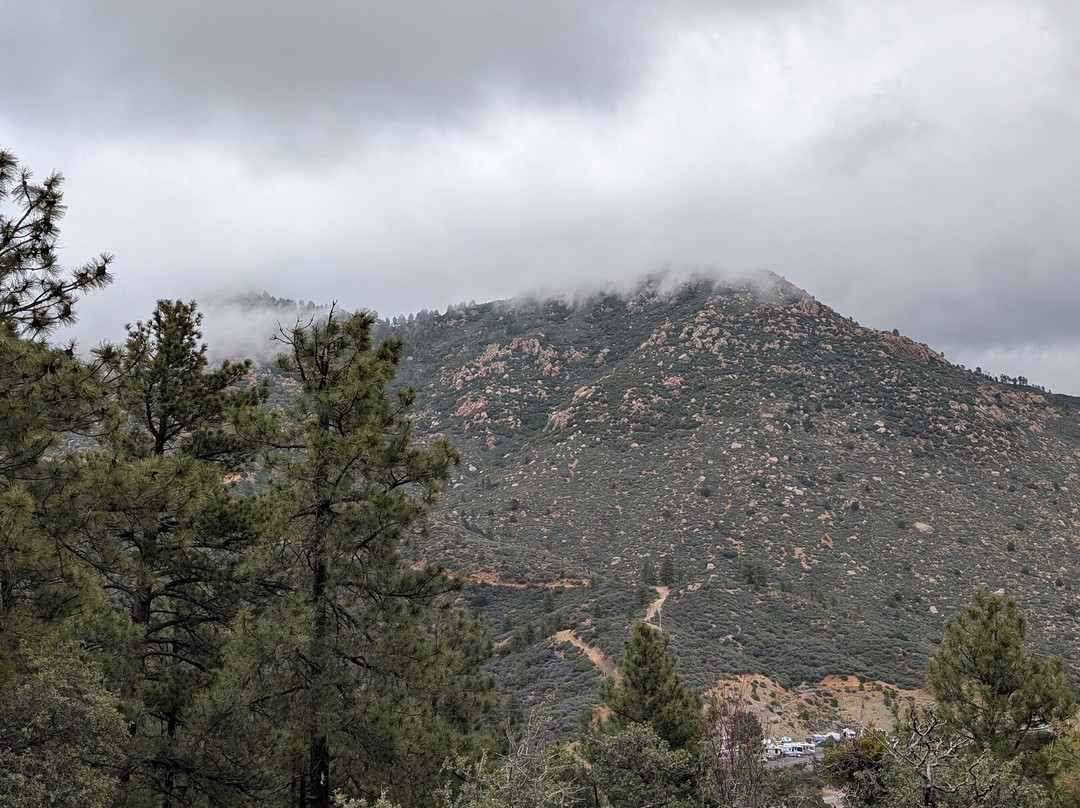 Hualapai Mountain Park-金曼必去景点