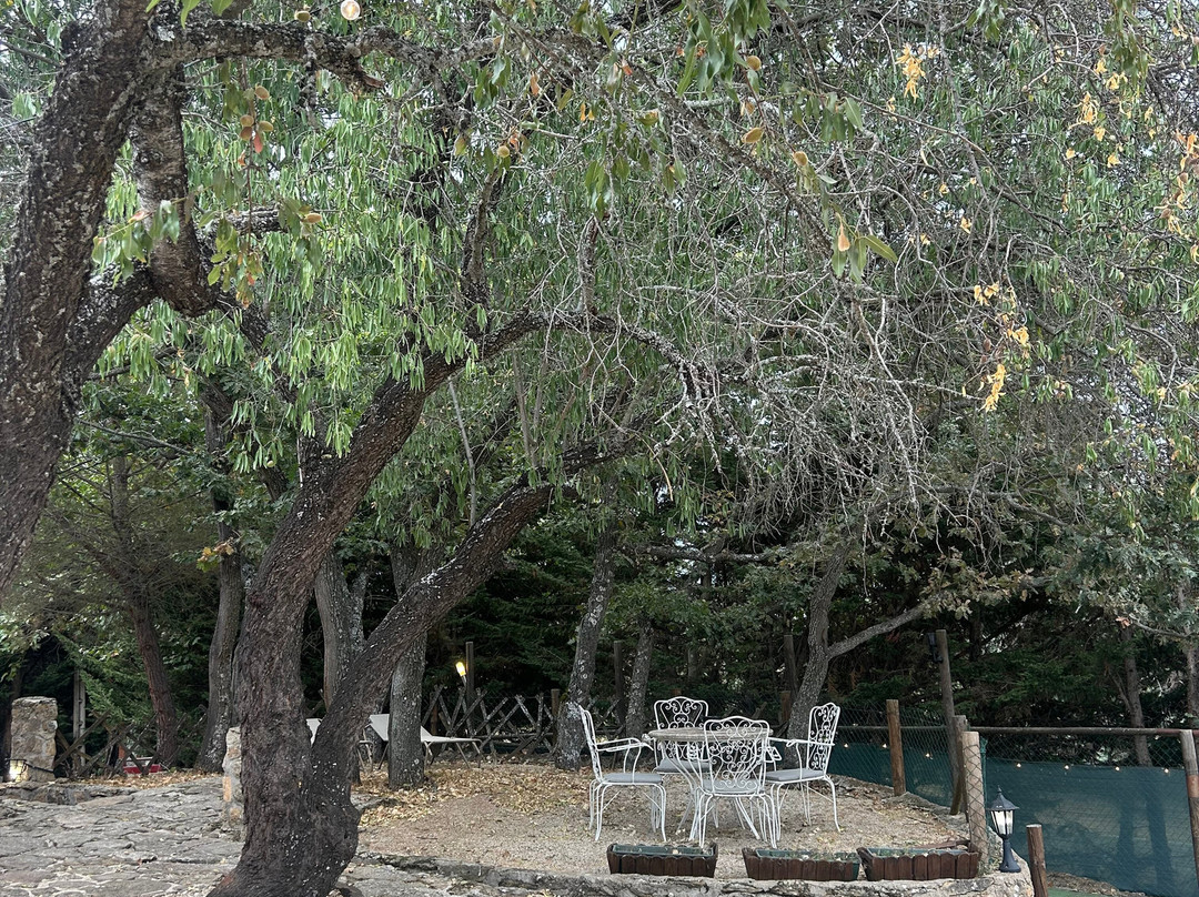 Posada SPA & Granja La Tejera de Lozoya主图