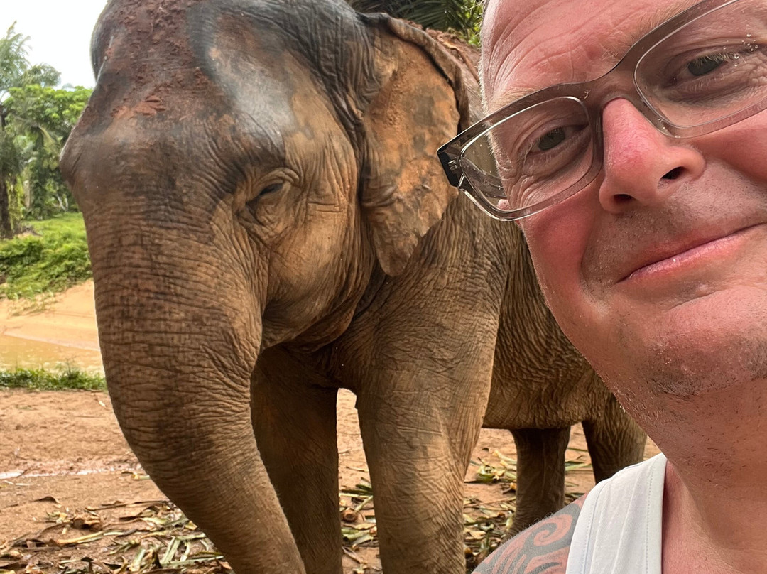 Krabi Elephant House Sanctuary-Sai Thai必去景点