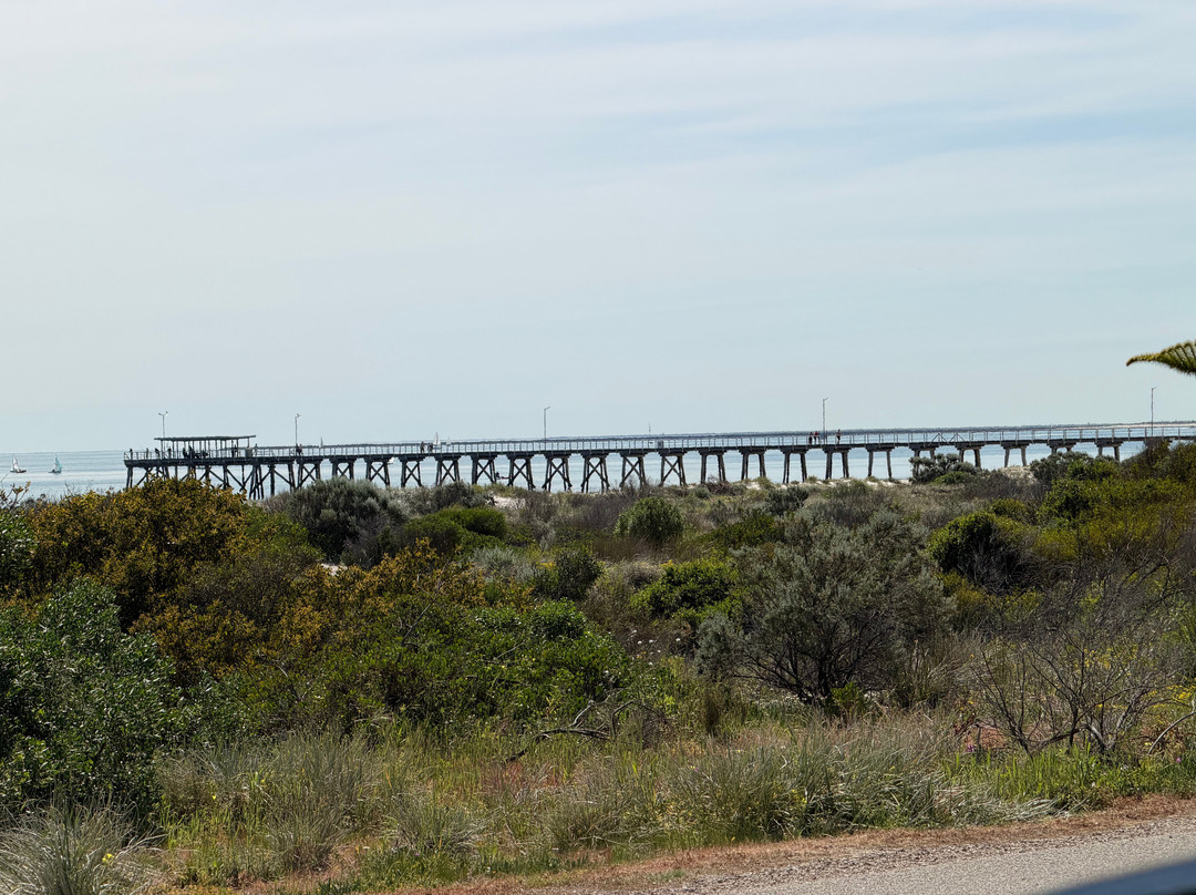 Adelaide Dolphin Sanctuary-Port Adelaide必去景点