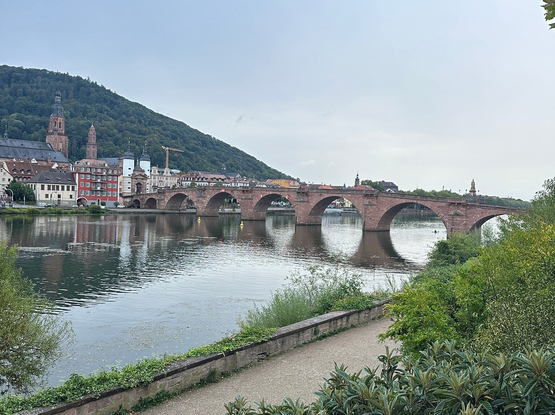 Neckar River-海德尔堡必去景点