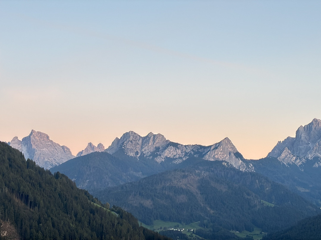 Hotel Alpen Tesitin主图