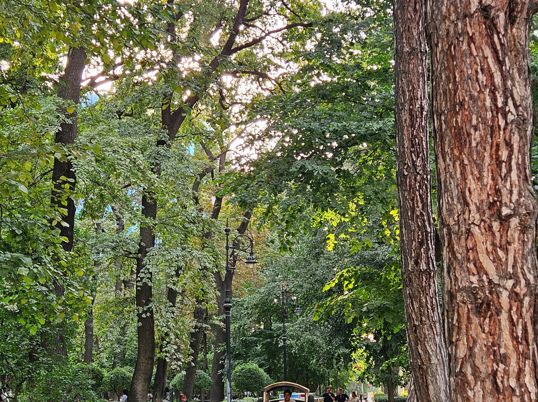 Park Named After Panfilov’s 28 Guardsmen-阿拉木图必去景点