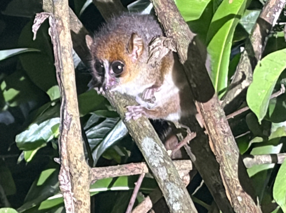 Christian Madagascar Tours-安齐拉贝必去景点