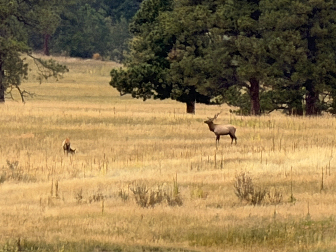 Elk Meadow Park