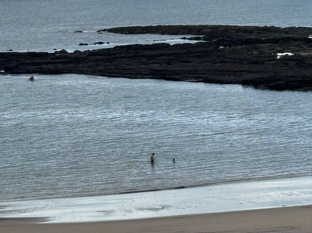 Cullercoats Beach-Cullercoats必去景点