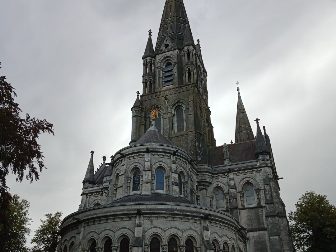 St Fin Barre's Cathedral-科克必去景点