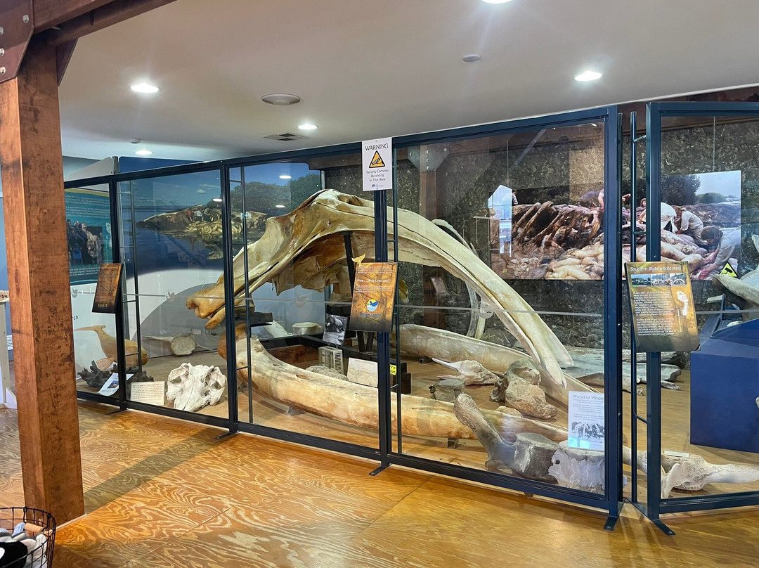 Victor Harbor Visitor Centre-维克多港必去景点