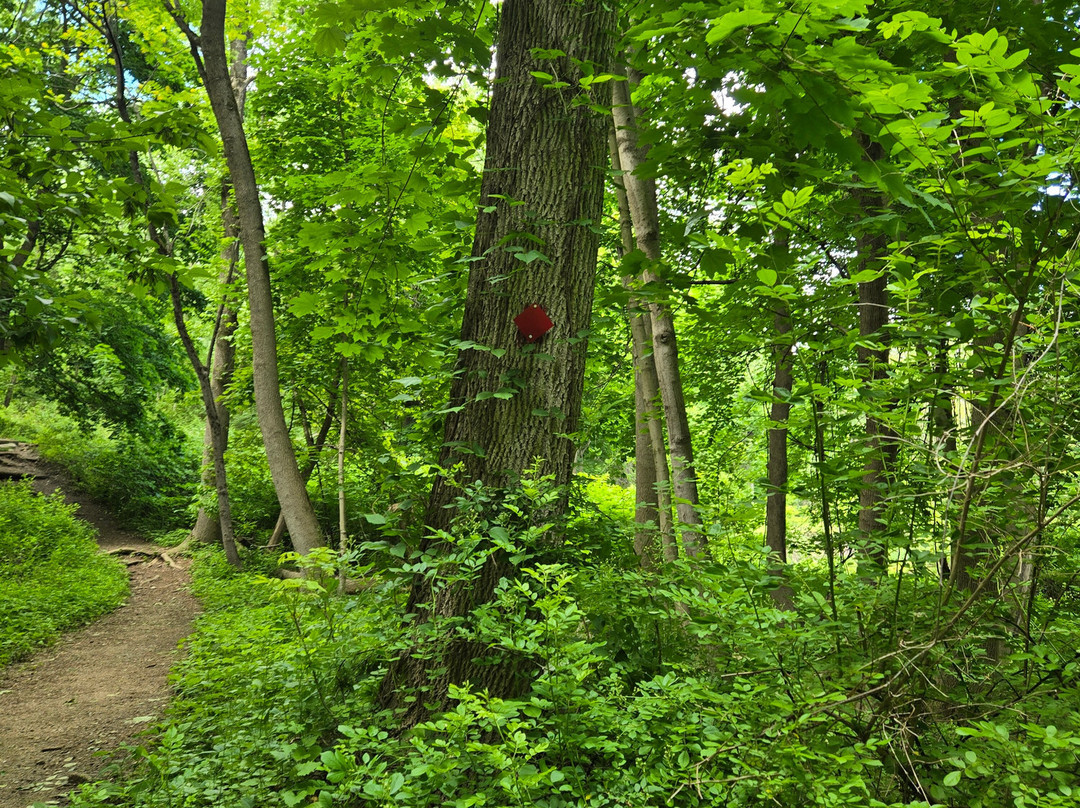 Ward Acres Park-New Rochelle必去景点
